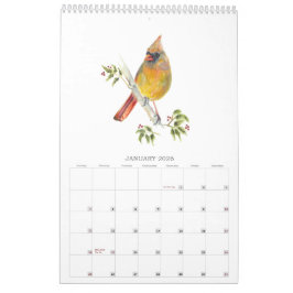 2026 Aves do Quintal no Calendário de Aquarelas