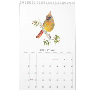 2026 Aves do Quintal no Calendário de Aquarelas