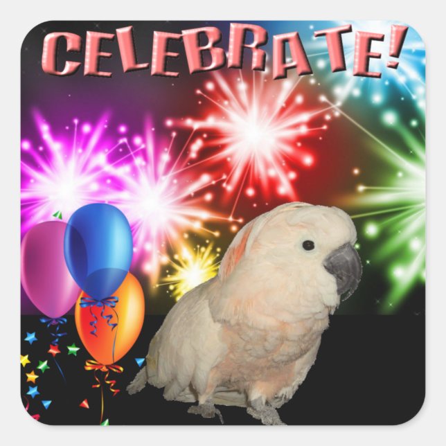 20 Adesivos Molucos para Cockatoo (Frente)