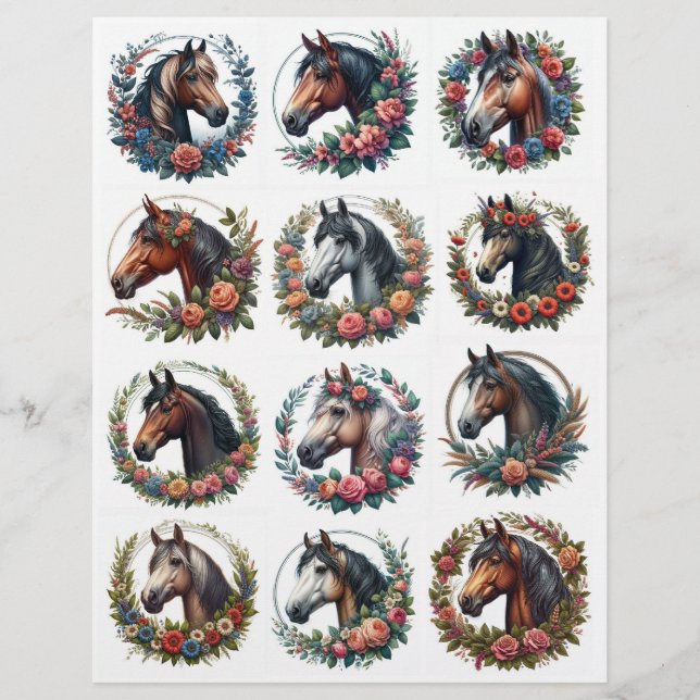 20 Cortes Garguros De Fussy Redondos De Cavalos Vi (Frente)