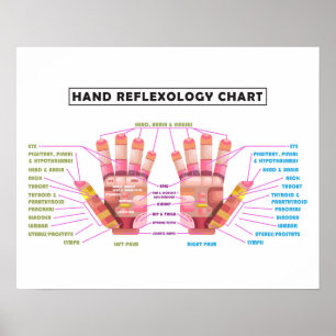 20" x 16", poster do Reflexology da mão