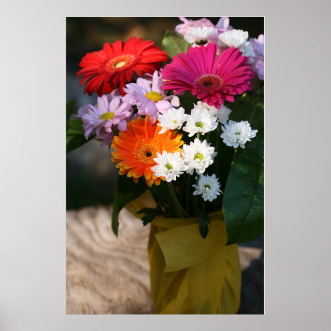 24 pol x 24 pol, Poster de valor (Matte) (Frente)