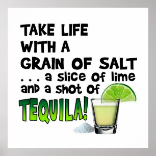 24" X 24" POSTER - VIDA, LIMÃO, SAL, TEQUILA!