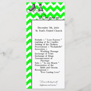 25 4x9 Programa Casamento Chevron Stripe Zig Zag P