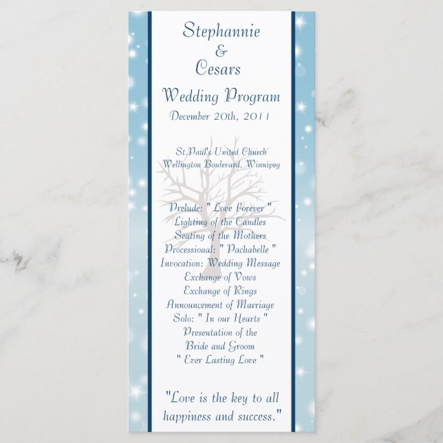 25 4x9 Programa de Casamento Grelha Neve / Árvore  (Frente)