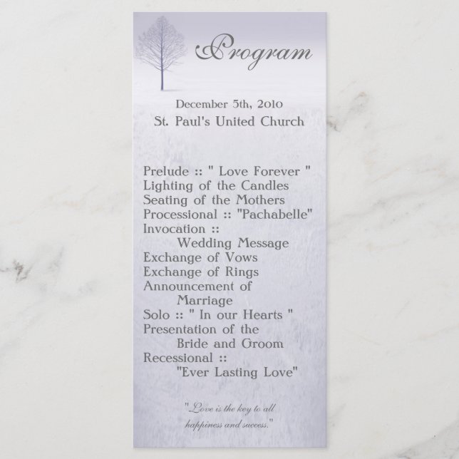 25 4x9 Programa de Casamento Winter Wonderland Tre (Frente)