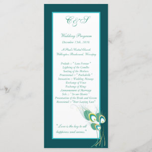 25 Programas Modernos de Casamento de Peacock Teal
