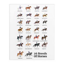 26 Rações de Cavalo