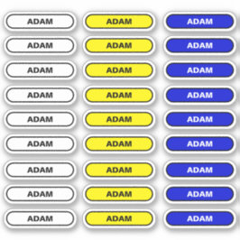 27 Nomes de etiqueta pessoais - Autocolantes escol