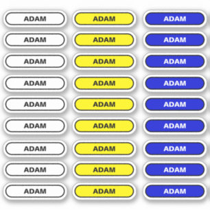 27 Nomes de etiqueta pessoais - Autocolantes escol