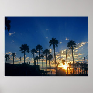 28 pol x 20 pol, Poster de valor (Matte)