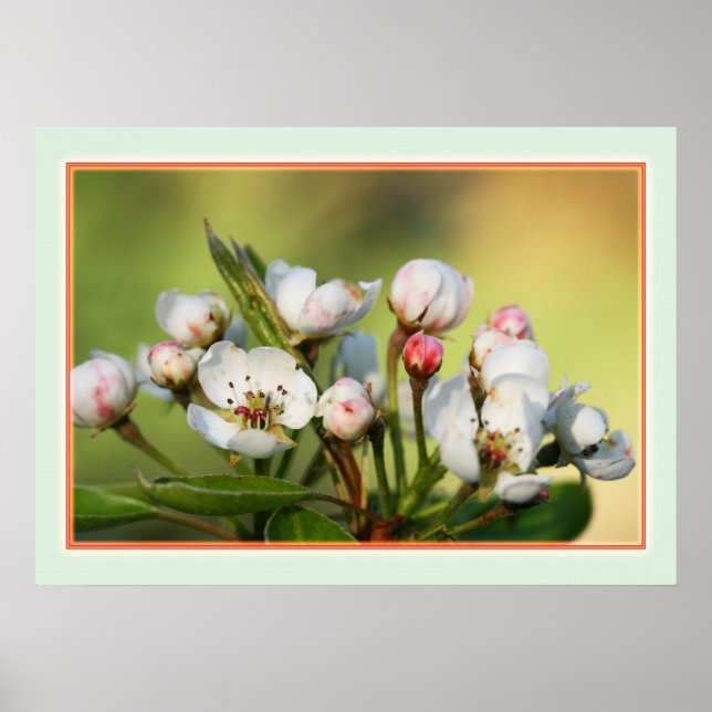 28 pol x 20 pol, Poster de valor (Matte) (Frente)