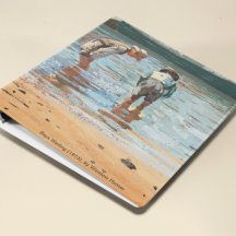 Assalto Nas Redes (1887) Por Winslow Homer