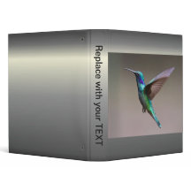 Colibri em vôo
