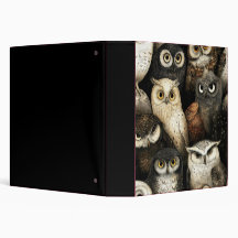 corujas com olhos perfurantes