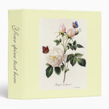 flores brancas de rosa, Pierre Joseph Redouté
