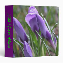 flores de croco roxas,番 红 花