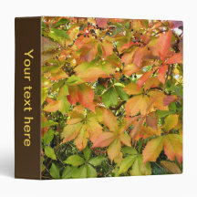 Folhas de videira selvagens do outono