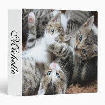 Gatinhos de tricolor de Cinzas bonitos/adição da f