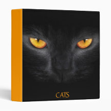 GATOS 2