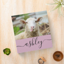 Língua do espetáculo de ovelhas