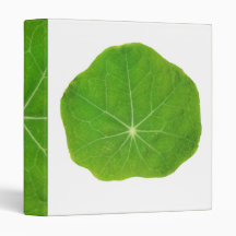 NOVINO Greenothan - questões meio-ambientais