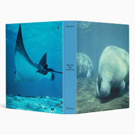 2.54cm Fichário Sea Creatures Binder