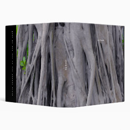 2.54cm Fichário Tronco de árvore do Banyan
