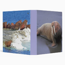 Walrus Binder