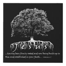 2:7 de Colossians enraizado em Jesus