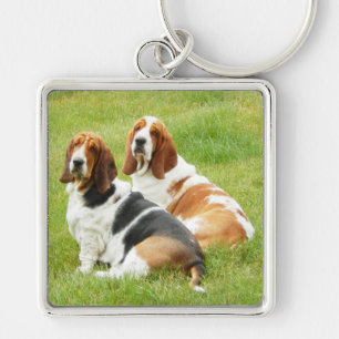 2 cães de Basset no grande chaveiro quadrado