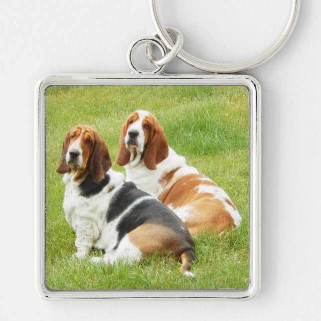 2 cães de Basset no grande chaveiro quadrado (Frente)