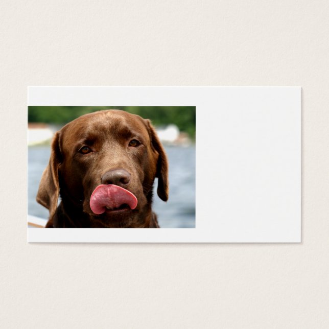 2 Chocolate_Lab.png (Frente)