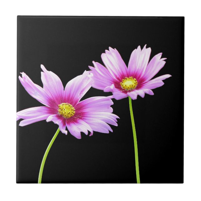 2 Cosmos (Frente)