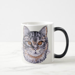 2 Gatos De Gatinho Parecem Uma Xícara De Café M