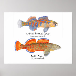 2 Poster mais escuros