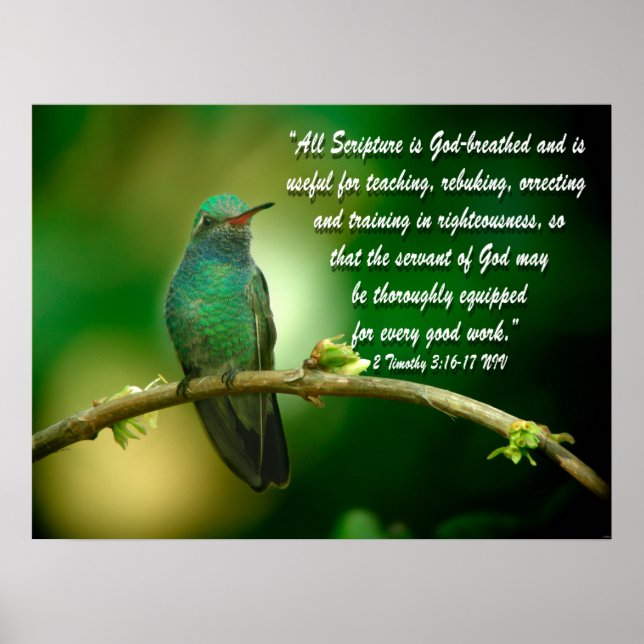 2 Timothy 3:16-17 Poster Cristão Hummingbird (Frente)