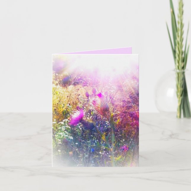 2SOL NO PEQUENO CARTÃO DE VERMELHA (Frente)