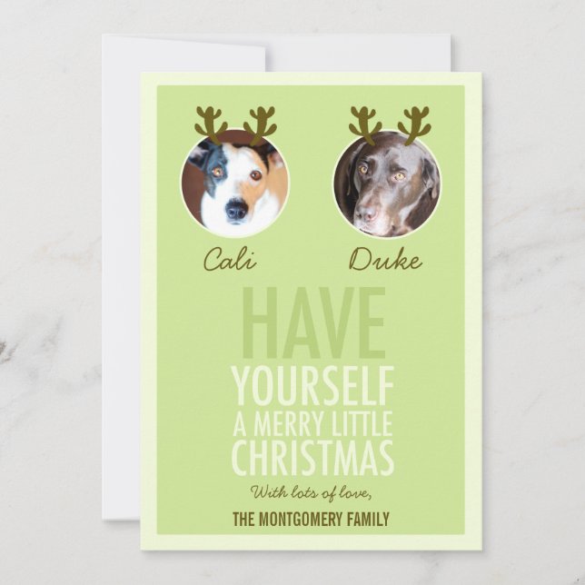 311 Cartão com fotos de Natal Moss Green Pet Antle (Frente)