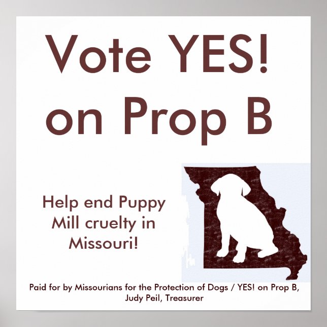 35" por 35" - SIM! no Prop B Poster (Frente)