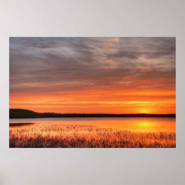 36x24 Wall Poster (Frente)