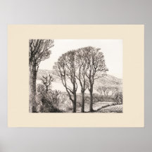 3 Árvores Impressão Cornwall, Eleanor M Hughes Re-