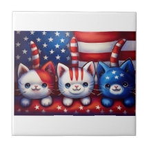3 Gatinhos Patrióticos Em Uma Cena Com A Bandeira