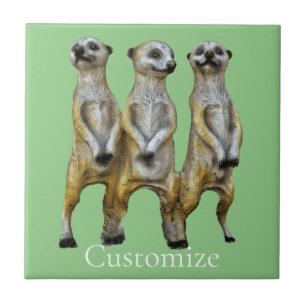 3 Meerkats em pé Thunder_Cove