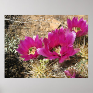 3) posters fantástico de Fuschia (