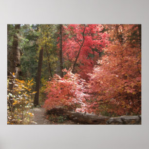 3) posters surpreendente da benevolência (