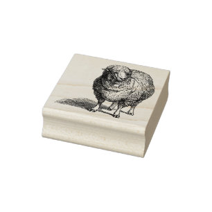 3 tamanhos de borracha carimbo imagem de vintage O