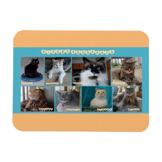 3 x 4 ímã flexível