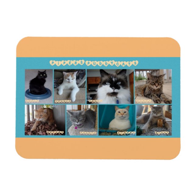 3 x 4 ímã flexível (Horizontal)