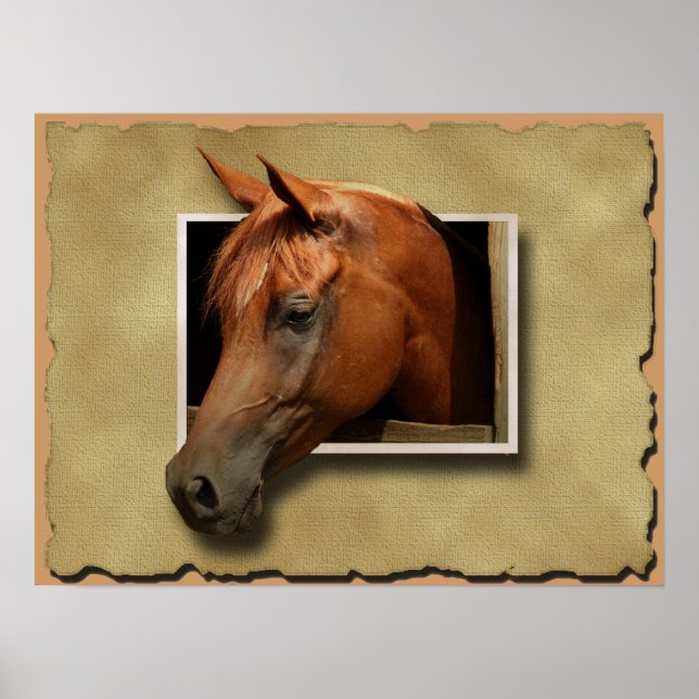 3D Horse Poster (Frente)